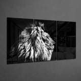 Aslan  Mega Cam Tablo.