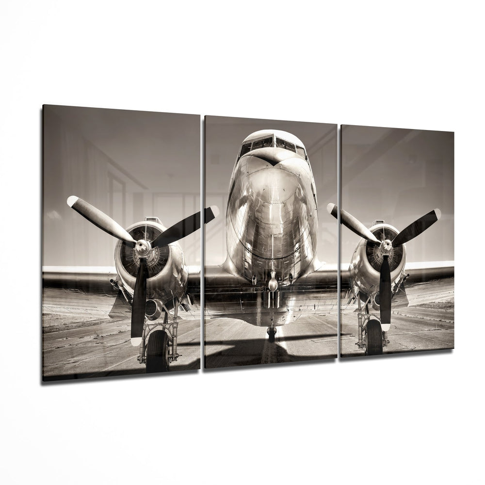 Plane Mega Glass Wall Art.