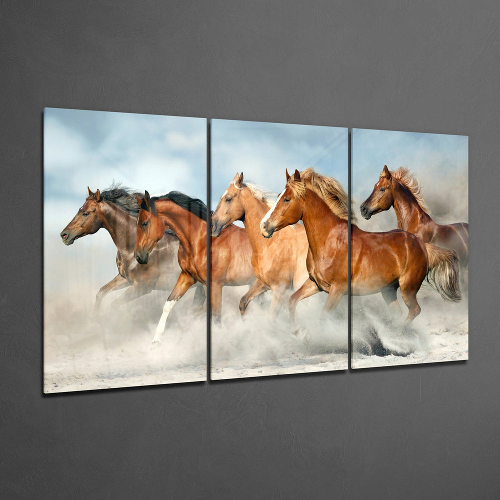 Horses Mega Glass Wall Art.