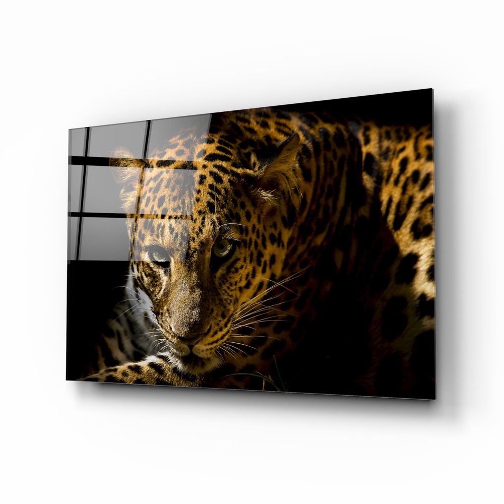 Leopar Cam Tablo.
