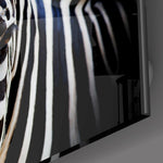 Zebra Cam Tablo.