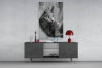 Kedi Cam Tablo