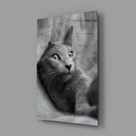 Kedi Cam Tablo