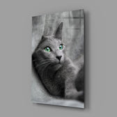 Kedi Cam Tablo