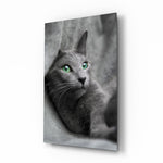 Kedi Cam Tablo