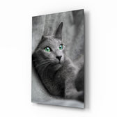 Kedi Cam Tablo