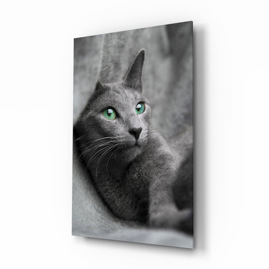 Kedi Cam Tablo