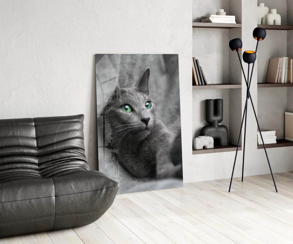 Kedi Cam Tablo