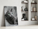 Kedi Cam Tablo