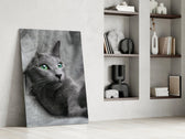 Kedi Cam Tablo