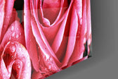 Pembe Gül Cam Tablo