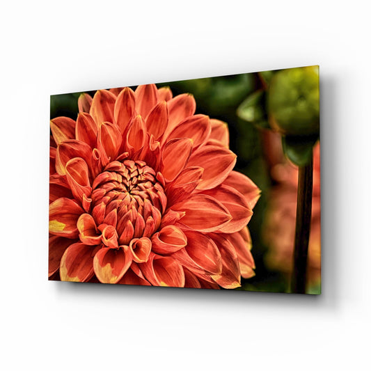 Turuncu Gerbera Cam Tablo