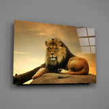 Aslan Cam Tablo