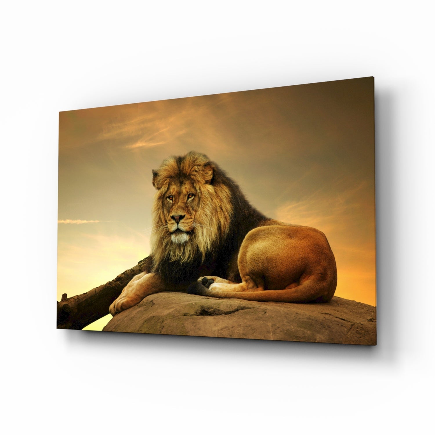 Aslan Cam Tablo