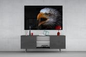 Kartal Cam Tablo