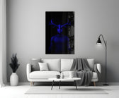 Donnie Blue Cam Tablo