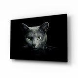 Kedi Cam Tablo
