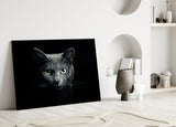 Kedi Cam Tablo