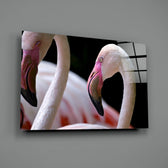 Flamingo Cam Tablo