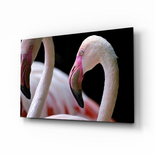 Flamingo Cam Tablo