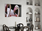 Flamingo Cam Tablo