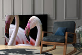 Flamingo Cam Tablo