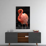 Flamingo Cam Tablo