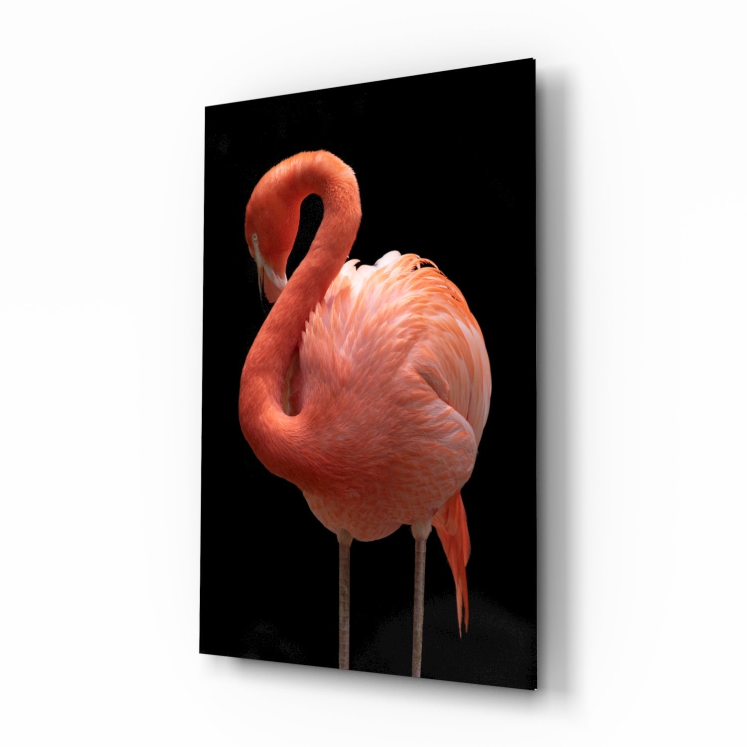 Flamingo Cam Tablo