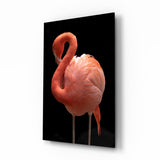 Flamingo Cam Tablo