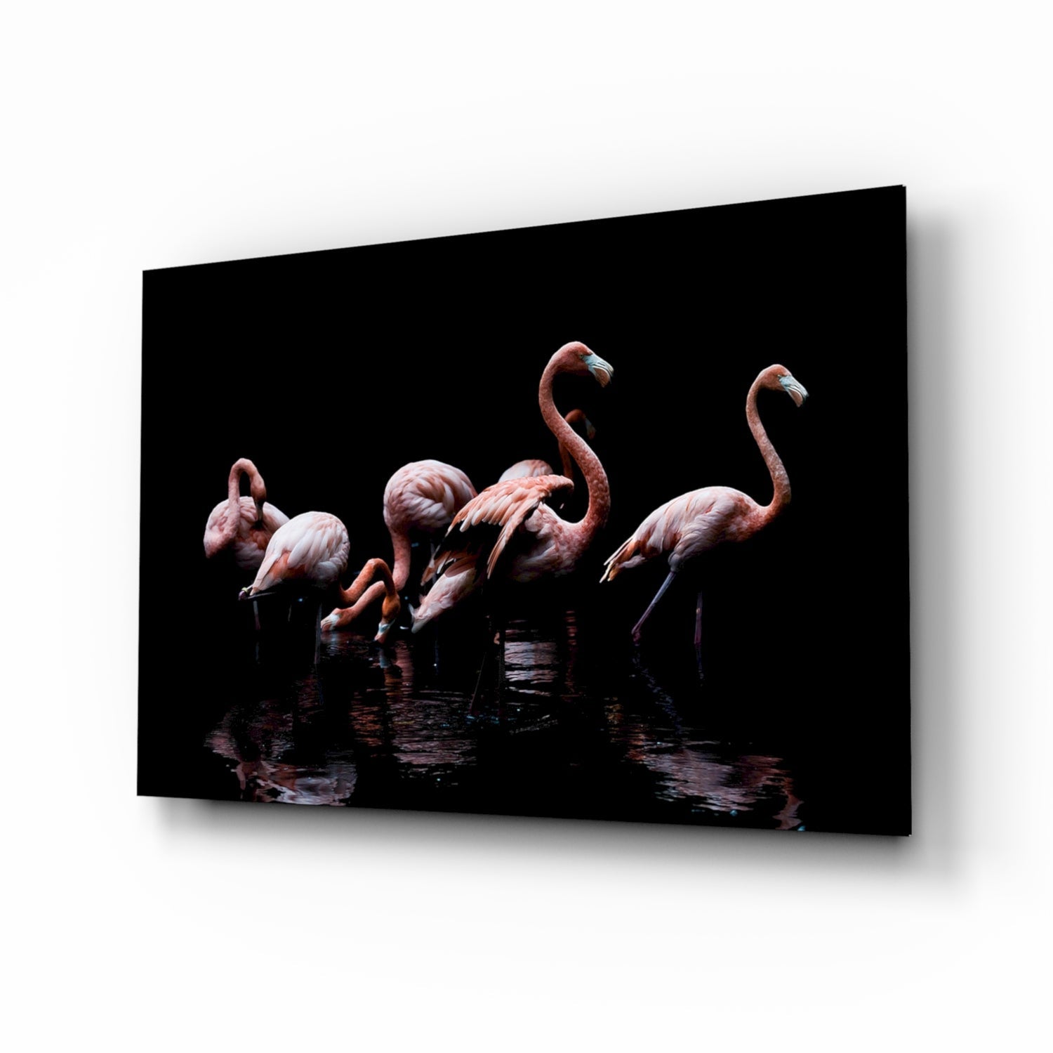 Flamingolar Cam Tablo