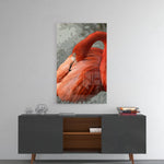 Flamingo Cam Tablo