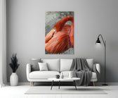 Flamingo Cam Tablo