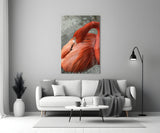 Flamingo Cam Tablo