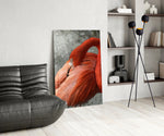Flamingo Cam Tablo