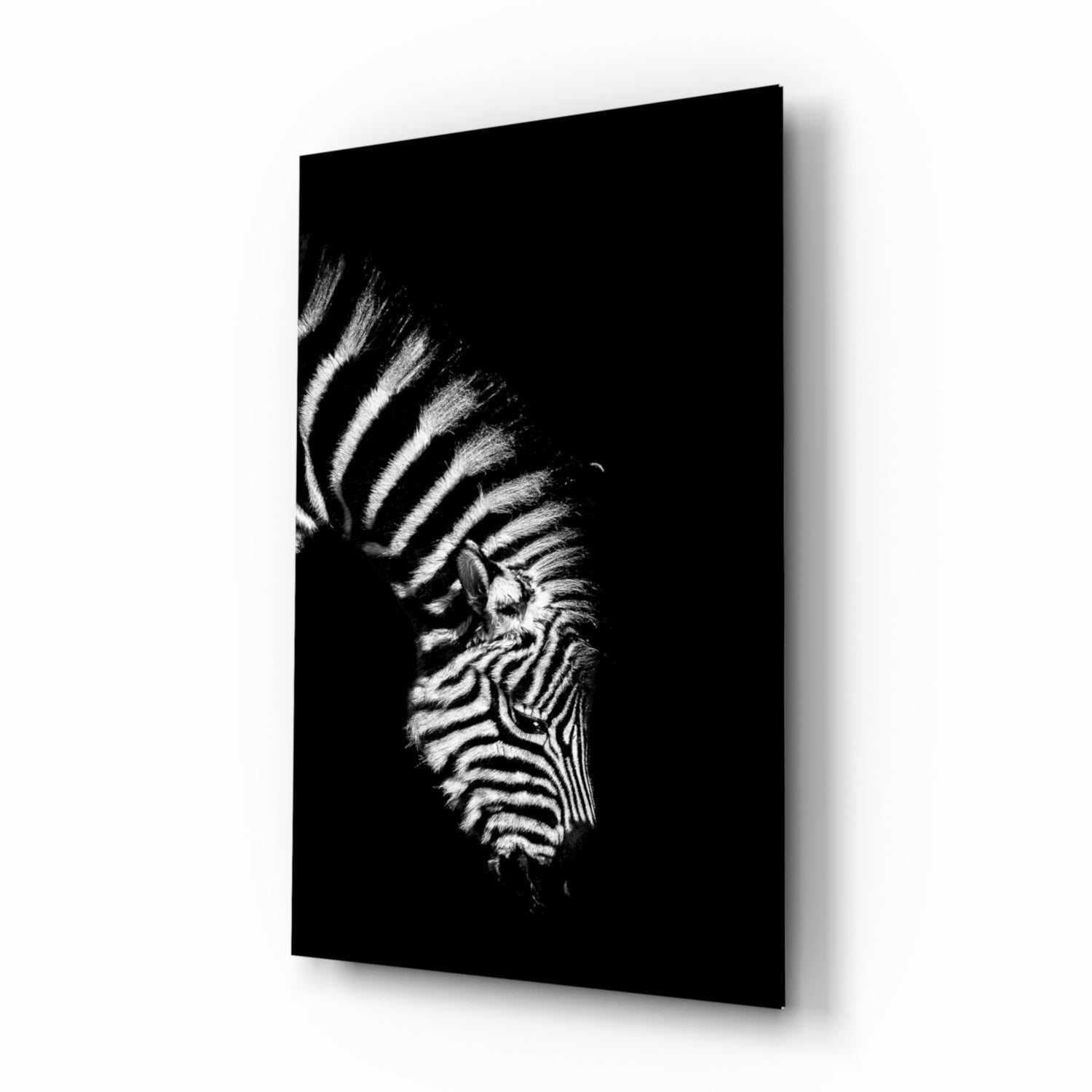Zebra Cam Tablo