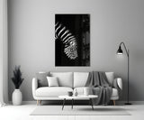 Zebra Cam Tablo