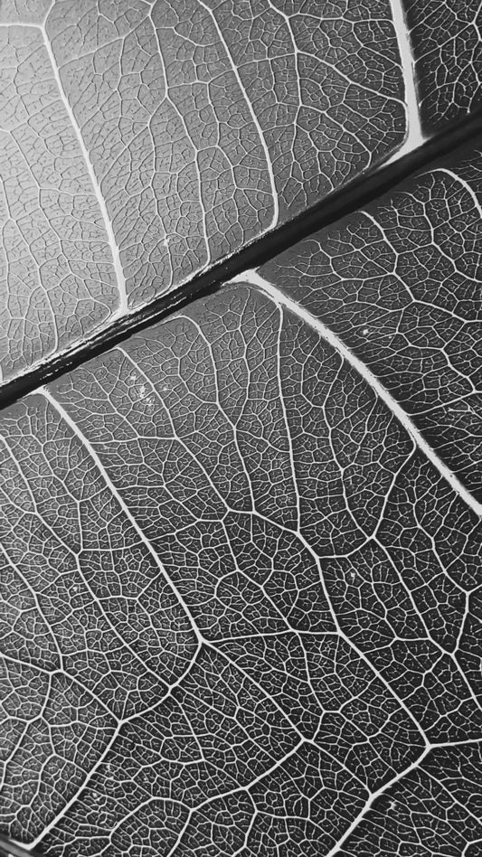 Silver Veins – 3D Kabartmalı, Parlak Lak Detaylı Alüminyum Tablo
