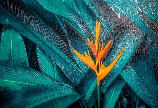 Teal Canopy Flame – 3D Kabartmalı, Parlak Laklı Alüminyum Tablo