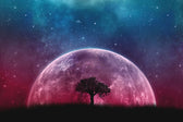Cosmic Lunar Solitude — 3D Kabartmalı Premium Duvar Sanatı