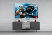 Carolina Panthers Cam Tablo
