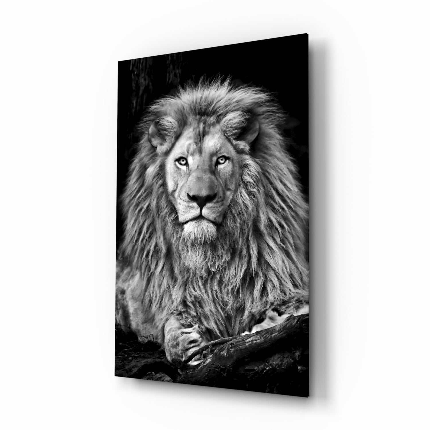 Aslan  Cam Tablo