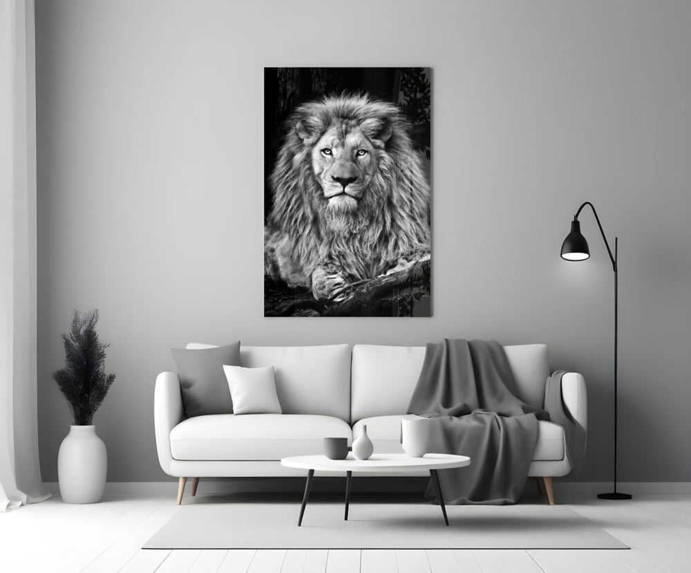 Aslan  Cam Tablo