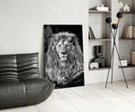 Aslan  Cam Tablo