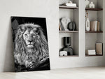 Aslan  Cam Tablo