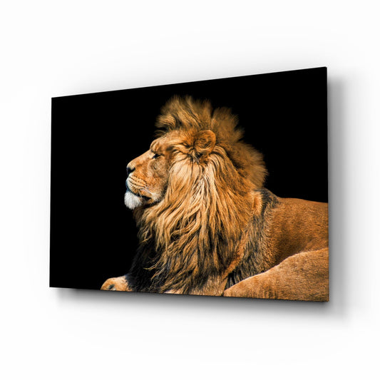 Aslan  Cam Tablo