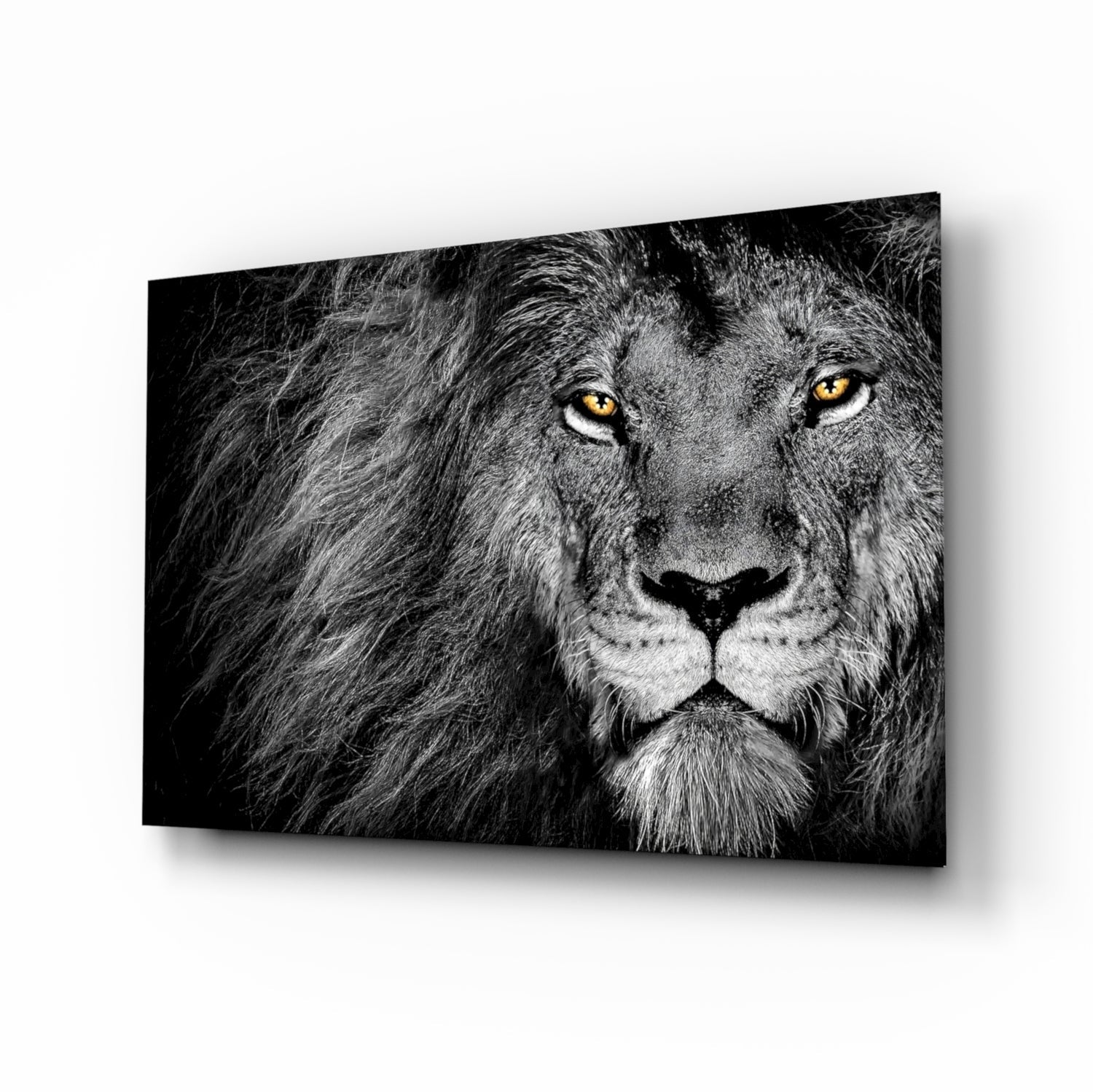 Aslan  Cam Tablo