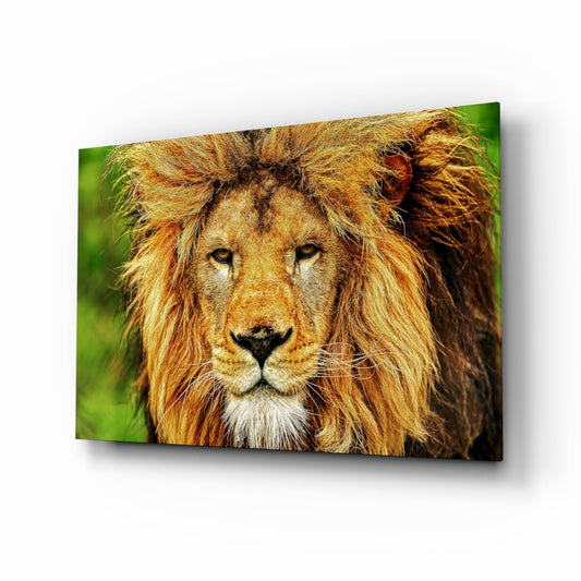 Aslan  Cam Tablo