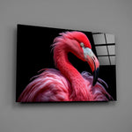 Flamingo Cam Tablo