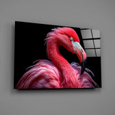 Flamingo Cam Tablo