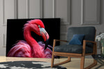 Flamingo Cam Tablo